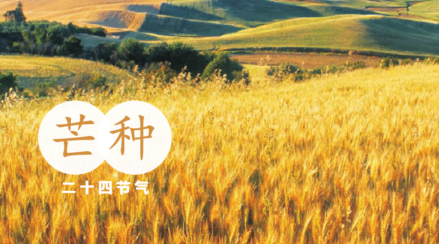 乐天堂·fun88(中国区) - 官方网站